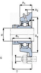   SKF FY 25 FM