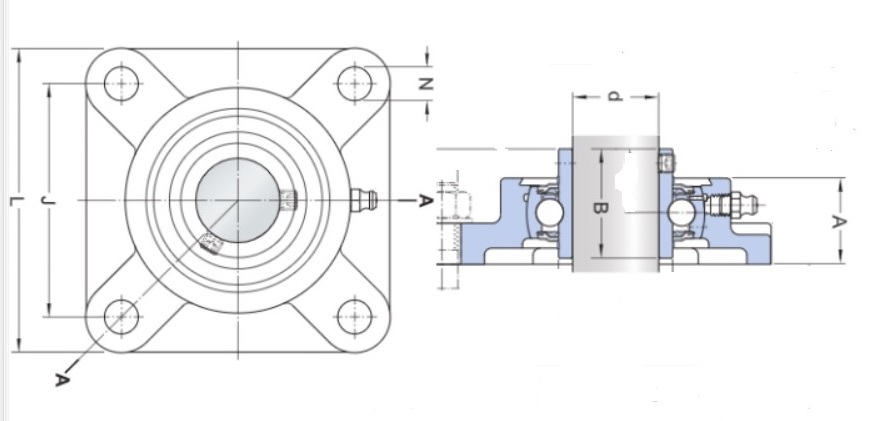   SKF FY 25 TF