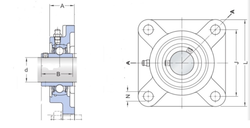   SKF FY 25 TF