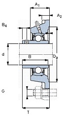   SKF FY 25 TF